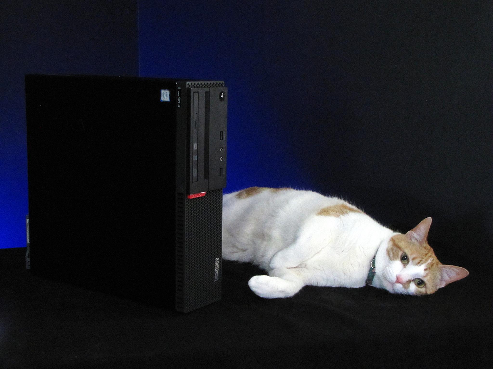 120FPS+ Fortnite Gaming tower, i7-6700, GTX 1650 4GB, 16GB RAM, Windows 11, Cat not included*