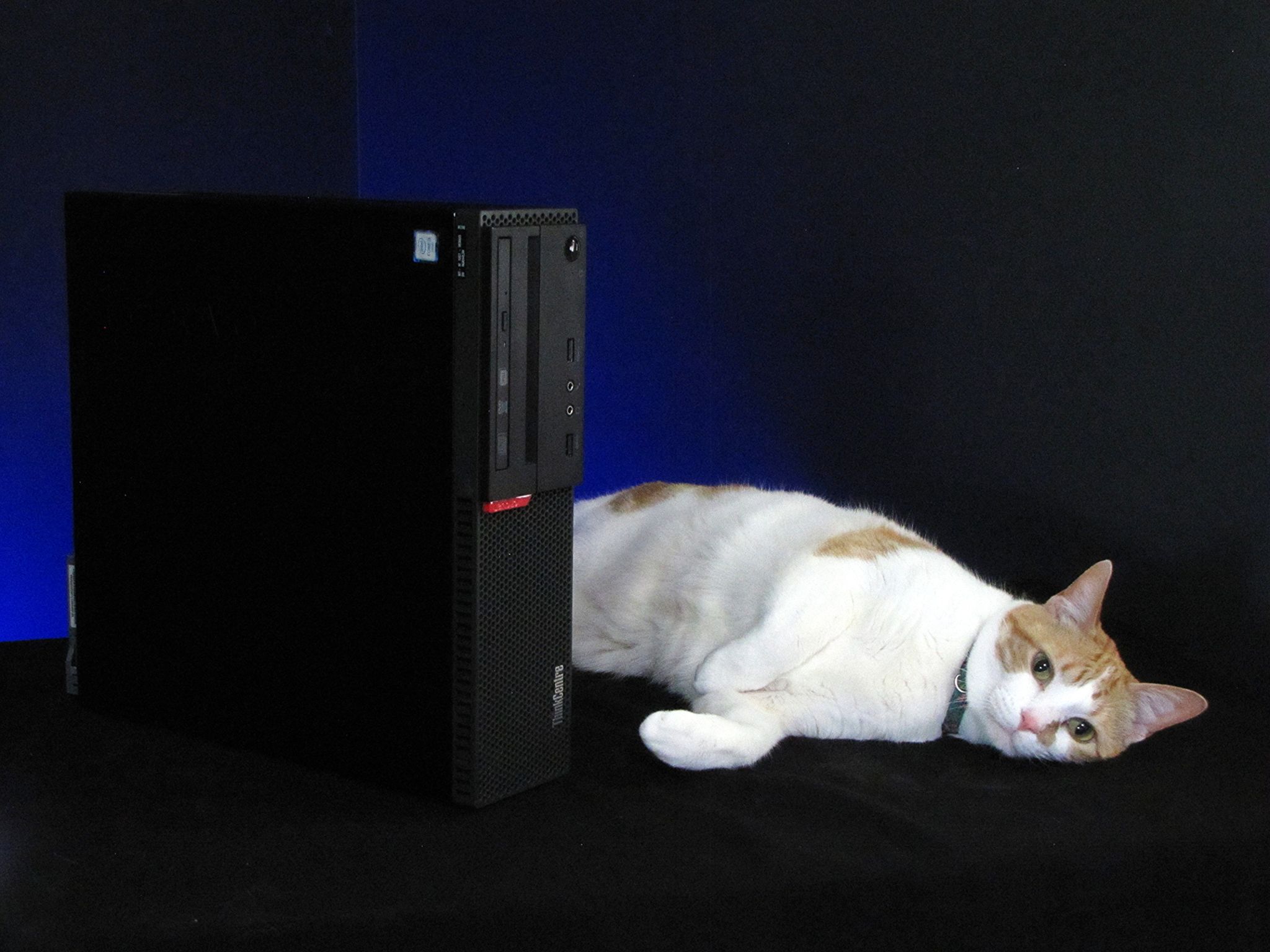 120FPS+ Fortnite Gaming tower, i7-6700, GTX 1650 4GB, 16GB RAM, Windows 11, Cat not included*