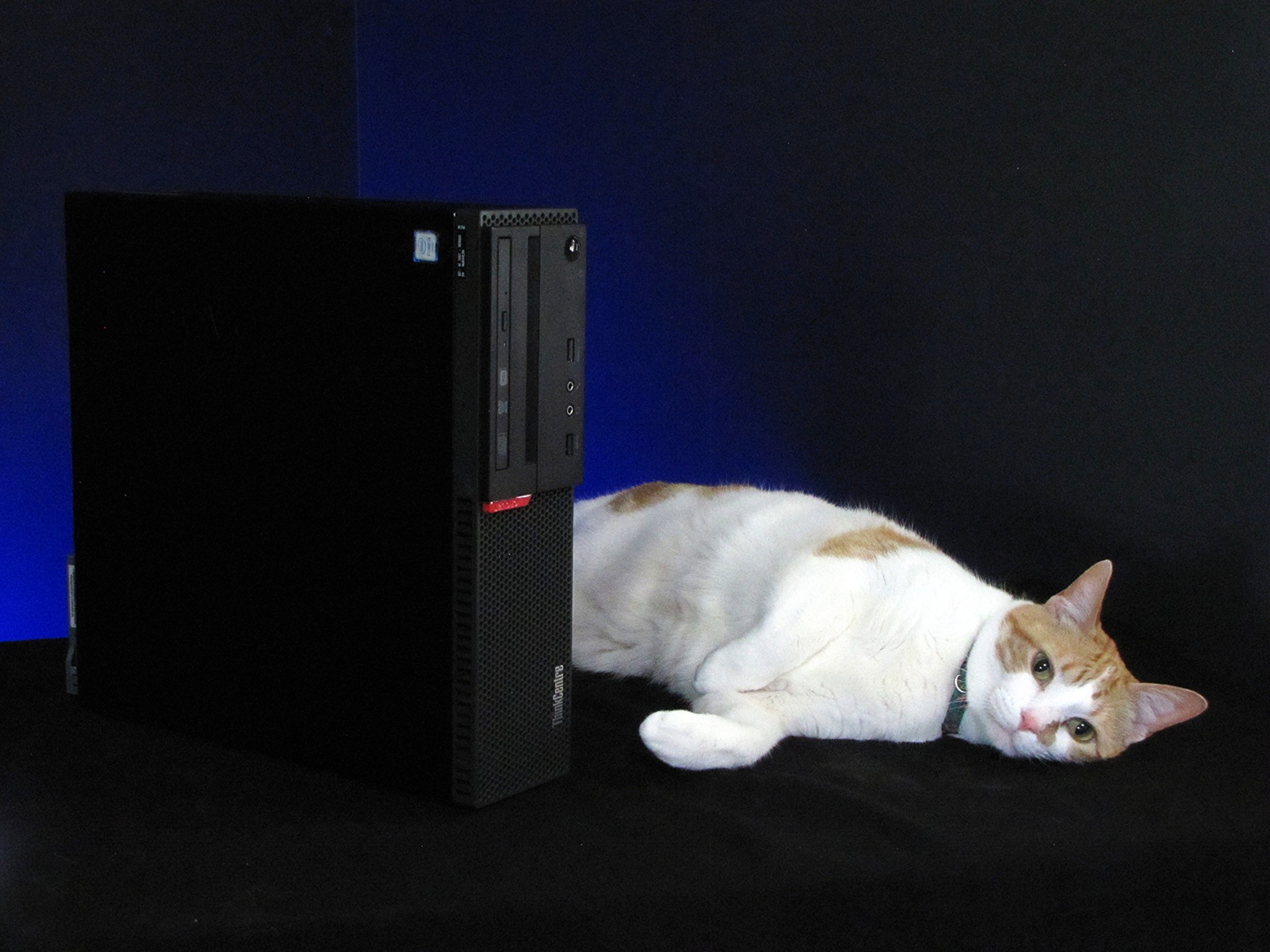 120FPS+ Fortnite Gaming tower, i7-6700, GTX 1650 4GB, 16GB RAM, Windows 11, Cat not included*