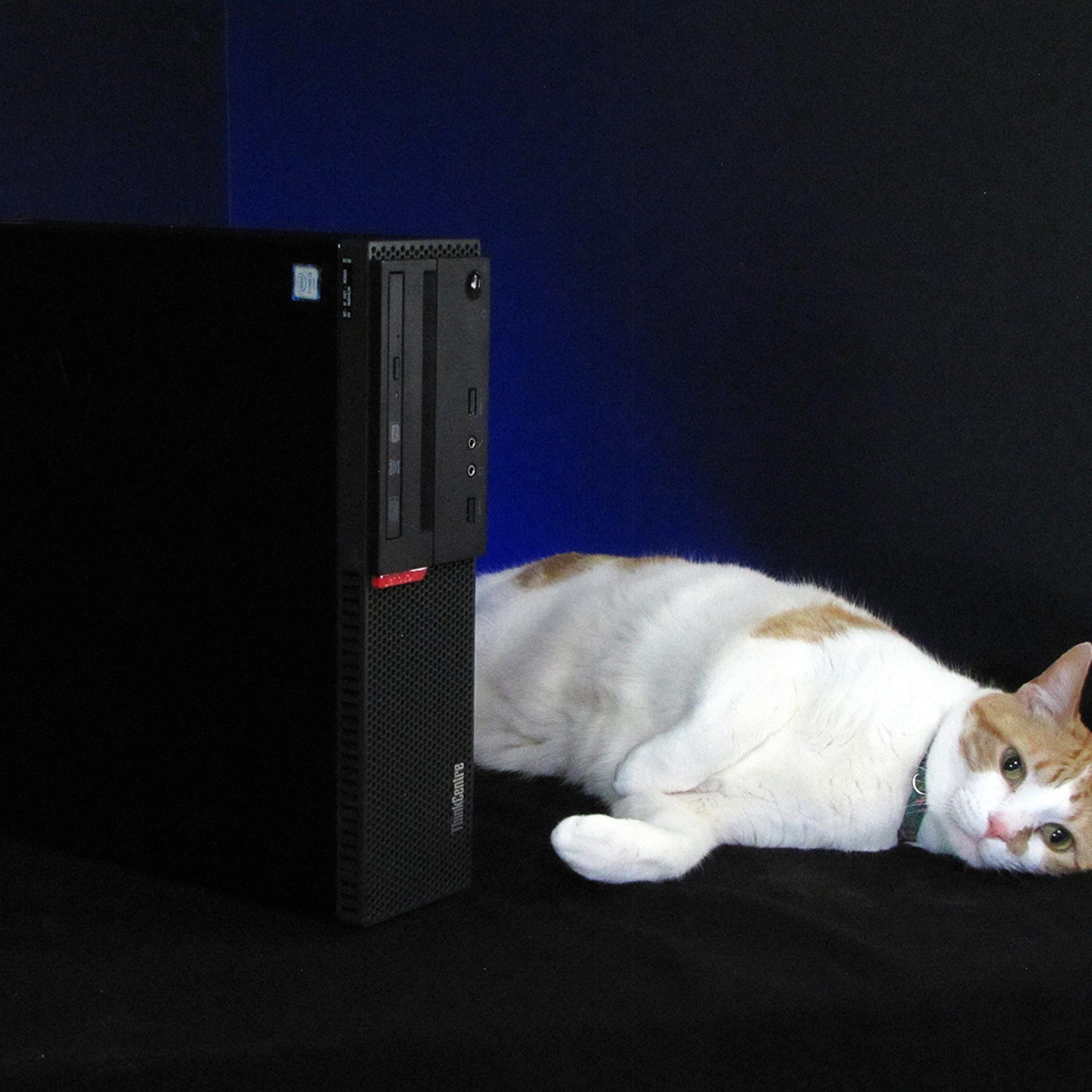 120FPS+ Fortnite Gaming tower, i7-6700, GTX 1650 4GB, 16GB RAM, Windows 11, Cat not included*
