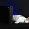 120FPS+ Fortnite Gaming tower, i7-6700, GTX 1650 4GB, 16GB RAM, Windows 11, Cat not included*