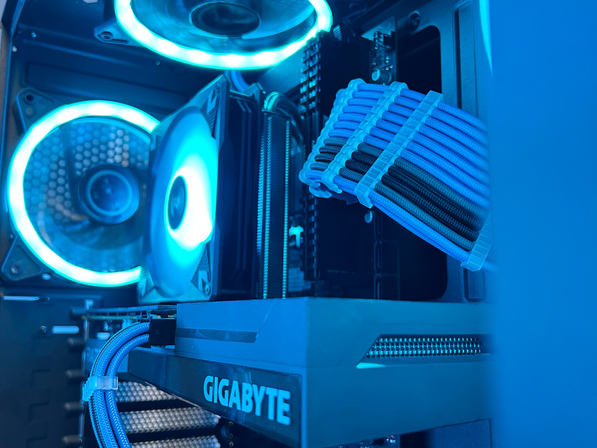 Avian💧: Intel 12th Gen, Rx 6600 8GB Gaming PC