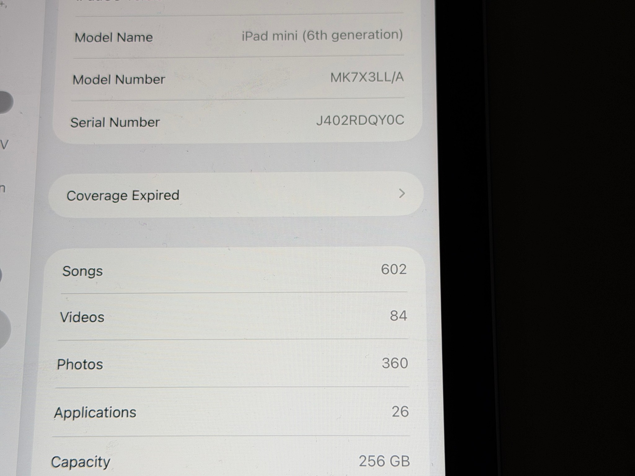 iPad mini
