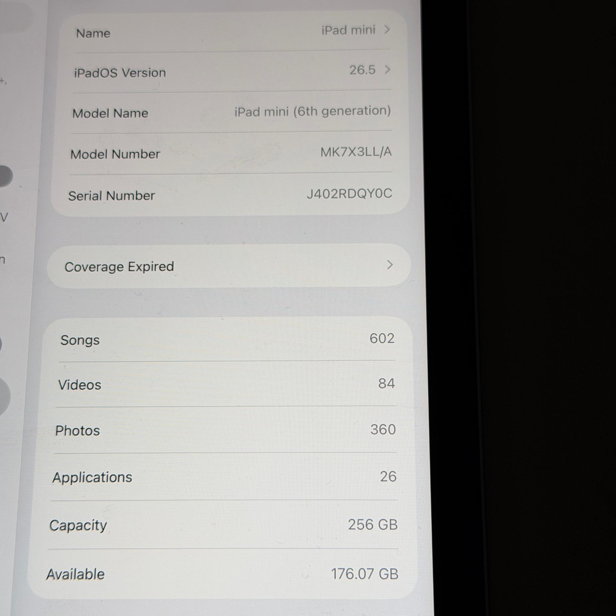 iPad mini