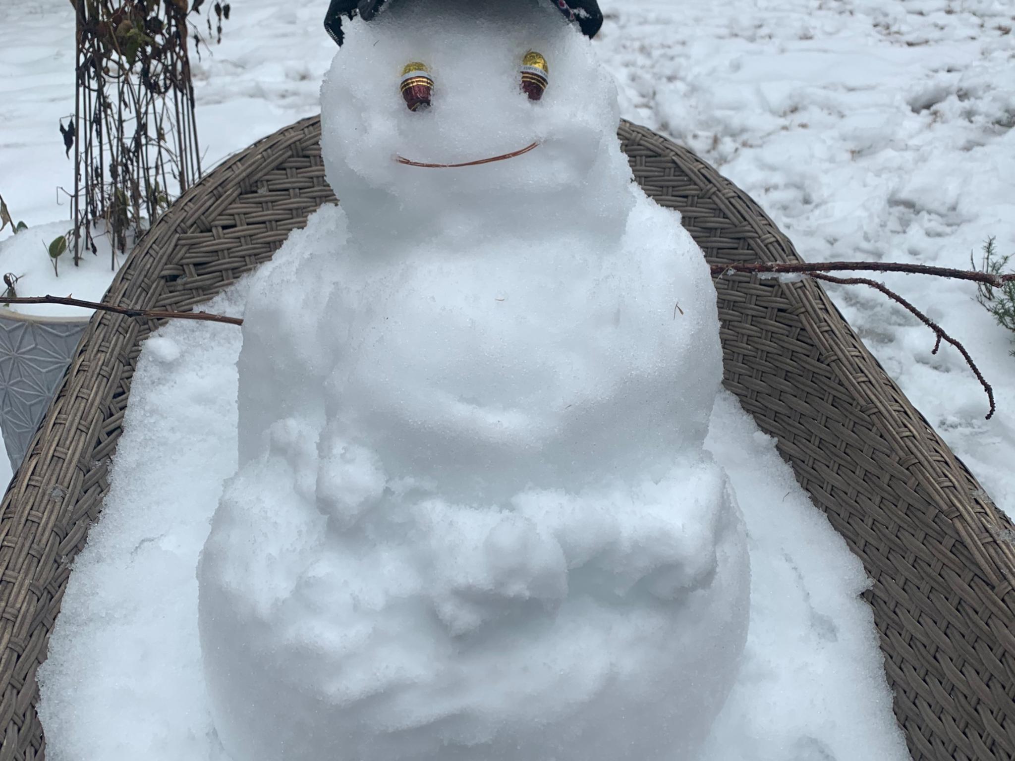 Snow Mountain Cougar