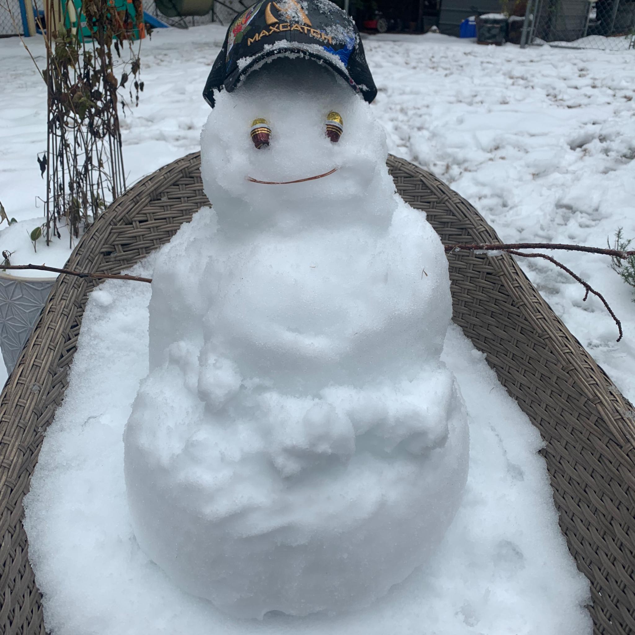 Snow Mountain Cougar