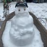 Snow Mountain Cougar