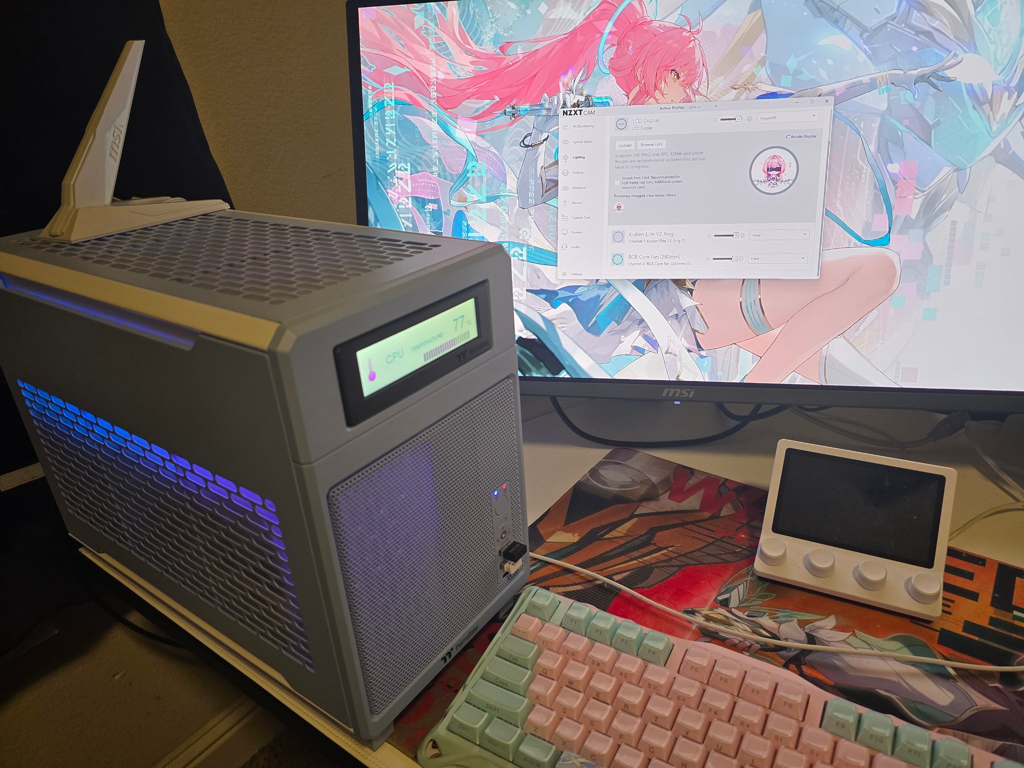 TR100 Hydrangea Blue PC