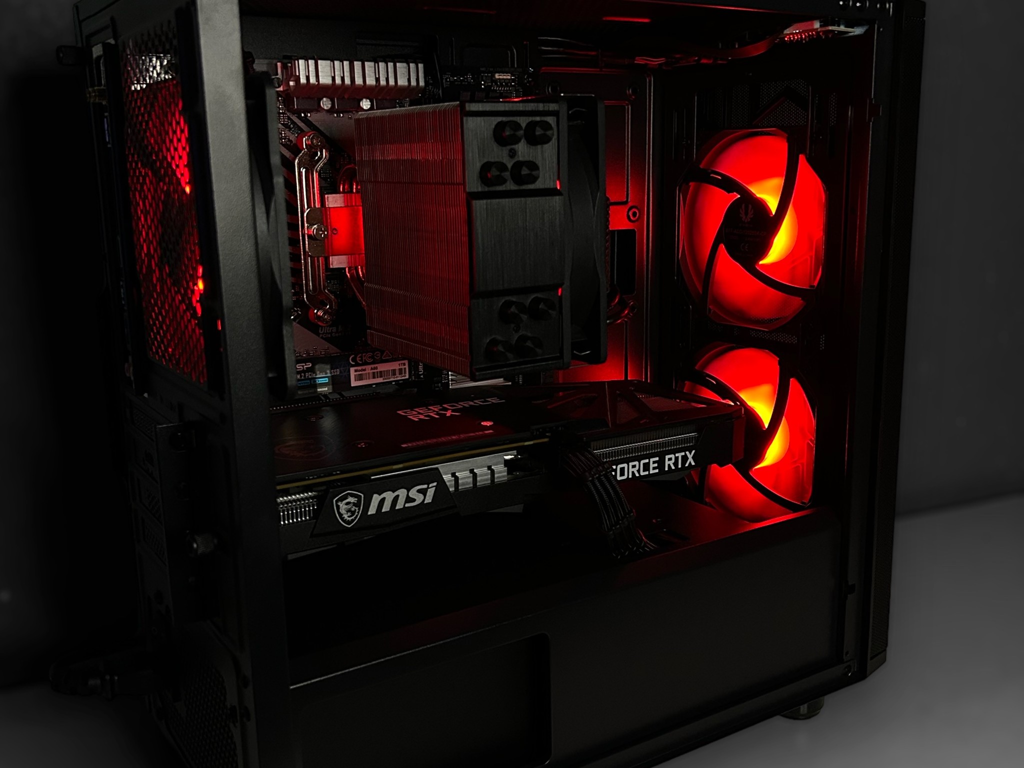 👹👹👹| MSI RTX 3060 Ti 8GB | Ryzen 5 5600 | Neo Forza 16GB 3600Mhz