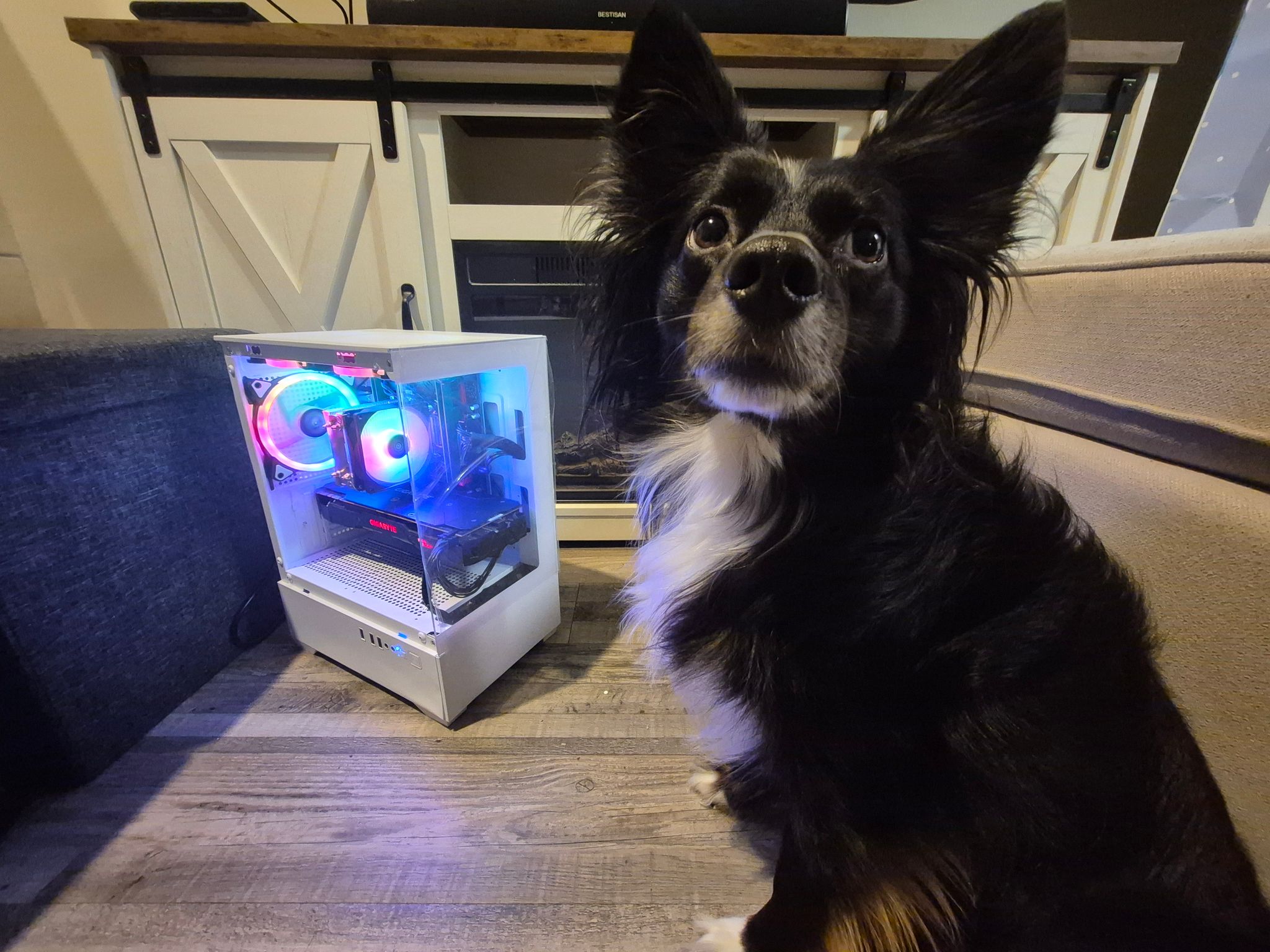 Gaming/Editing/Streaming | 14 Core Xeon, 16GB DDR4, GTX 1080, Win11