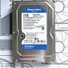 Western Digital 1TB WD Blue 7200 RPM Internal Hard Drive HDD (WD10EZEX)