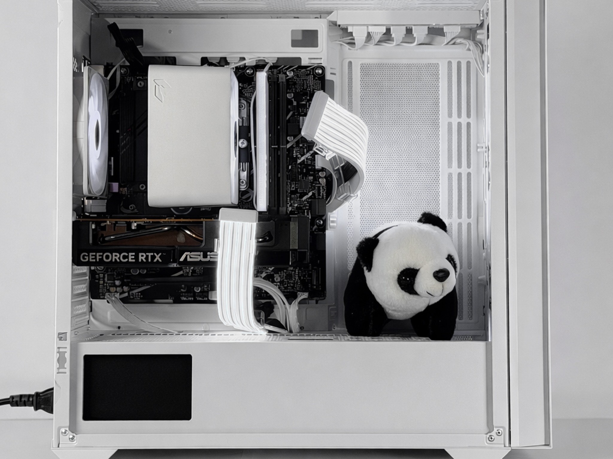 ⚪White Panda|RTX 5060 i5 12600kf⚪