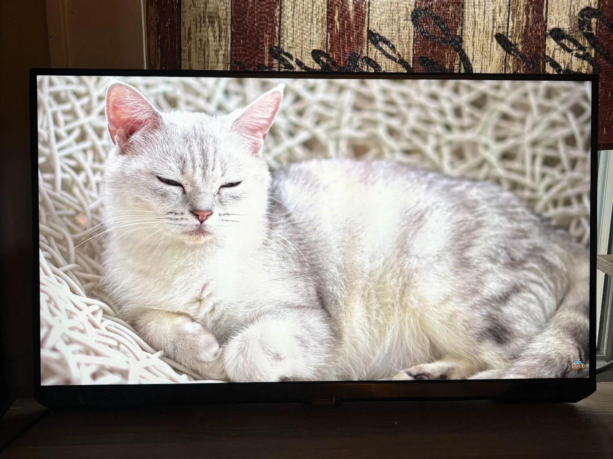 Samsung S28BG700EN 28" 4K UHD Gaming Monitor (CS)