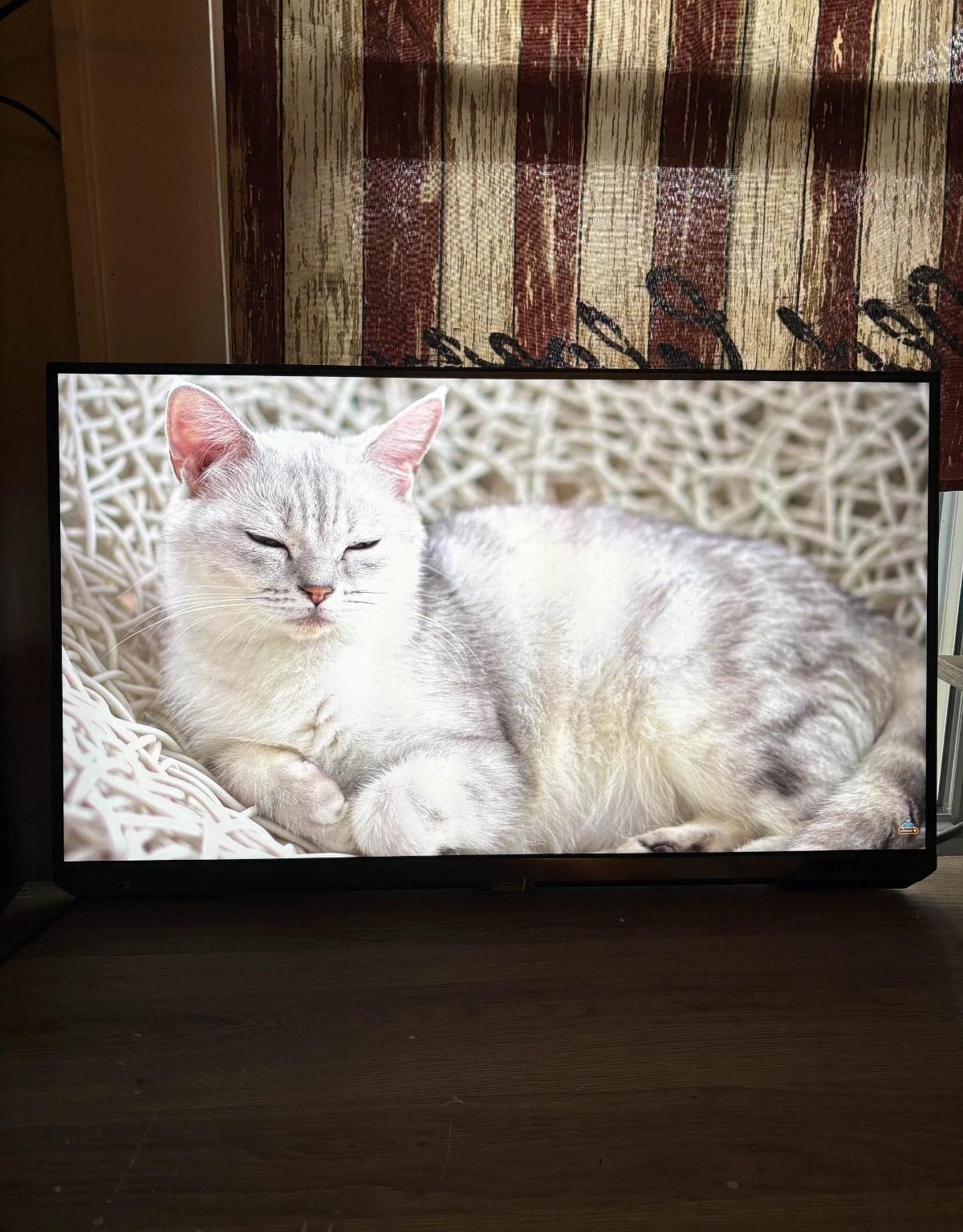 Samsung S28BG700EN 28" 4K UHD Gaming Monitor (CS)