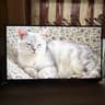 Samsung S28BG700EN 28" 4K UHD Gaming Monitor (CS)