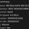 WD Blue 1TB SATAIII M.2 2280 SSD (With Silverstone MS09 M.2 SATA To 10Gbps USB3.1 Enclosure)