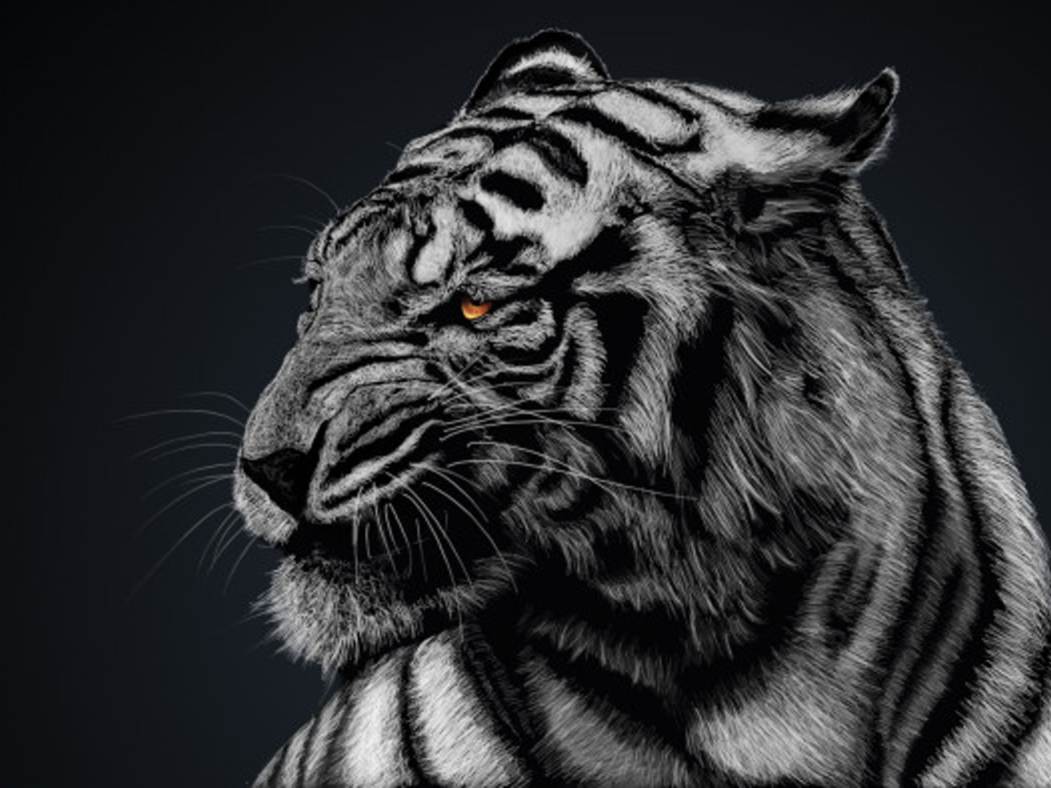 Black Tiger - RTX 4080 SUPER | Ryzen 7 7800X3D | 32GB DDR5 @ 6000MT/sec | 4TB storage | 1000W PSU