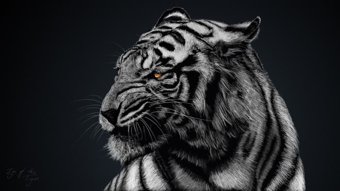 Black Tiger - RTX 4080 SUPER | Ryzen 7 7800X3D | 32GB DDR5 @ 6000MT/sec | 4TB storage | 1000W PSU
