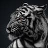 Black Tiger - RTX 4080 SUPER | Ryzen 7 7800X3D | 32GB DDR5 @ 6000MT/sec | 4TB storage | 1000W PSU