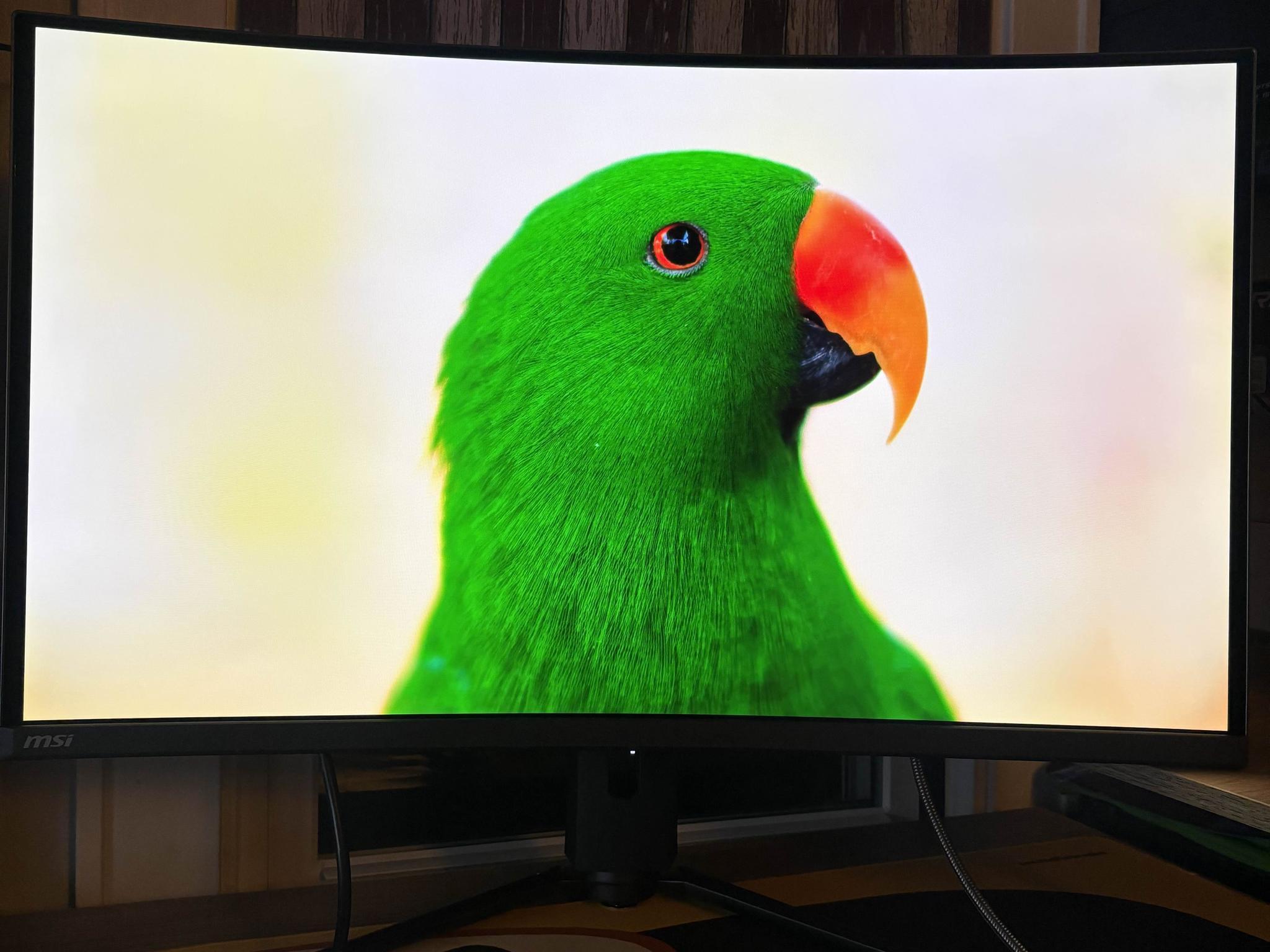 MSI MAG 321CURX QD-OLED 32" 4K UHD (CS)