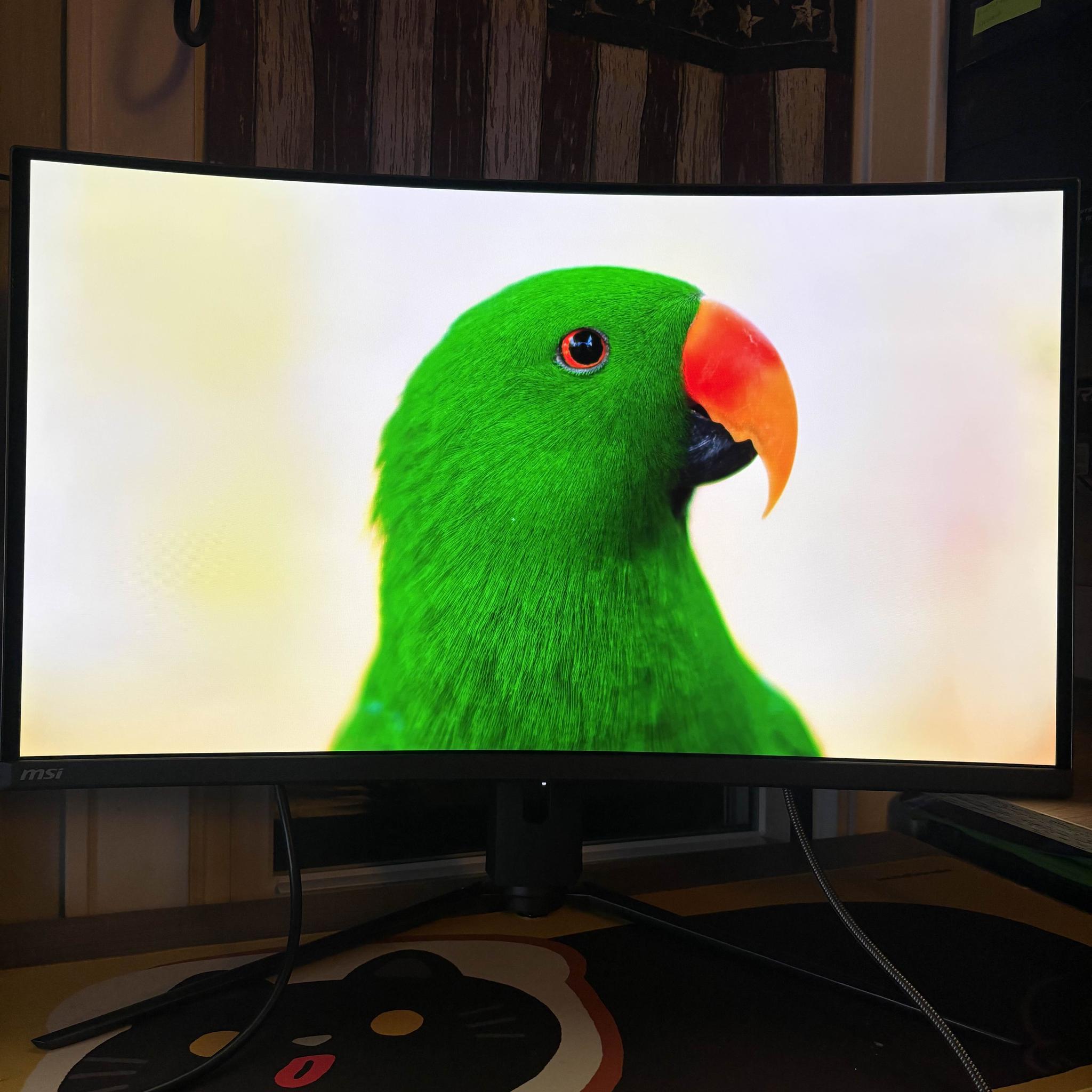MSI MAG 321CURX QD-OLED 32" 4K UHD (CS)