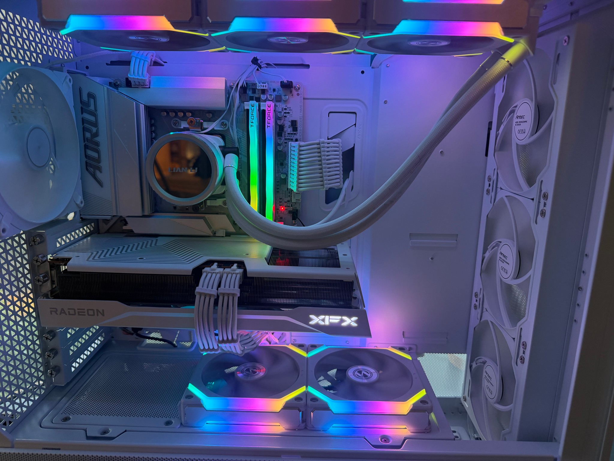 Arctic Pulse