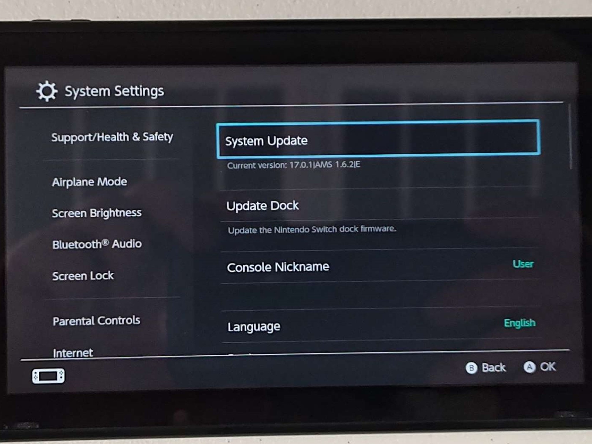 Nintendo Switch Soft Modded