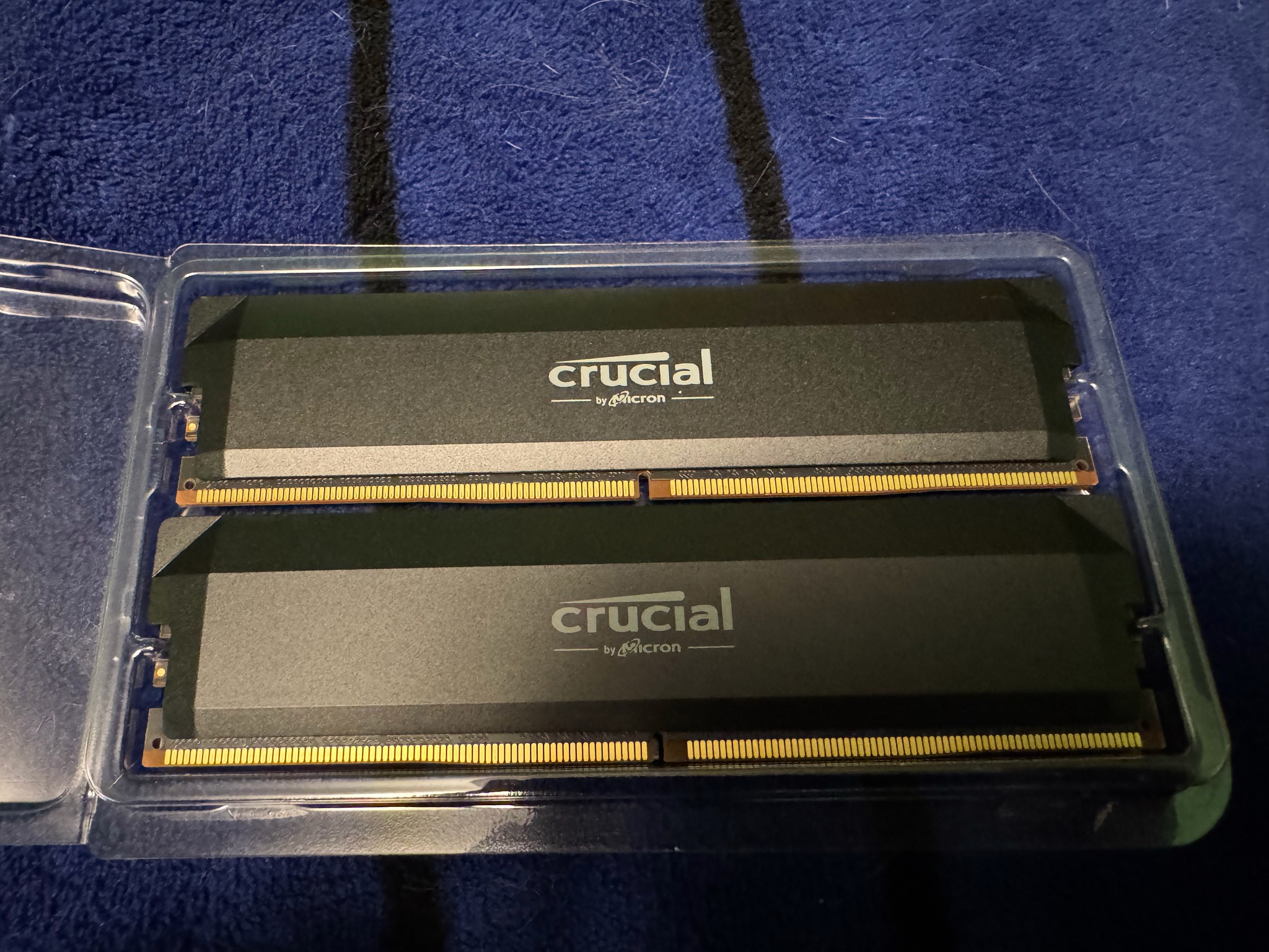 Crucial Pro DDR5 RAM 64GB Kit (2x32GB) 6000MHz CL40 - Black CP2K32G60C40U5B