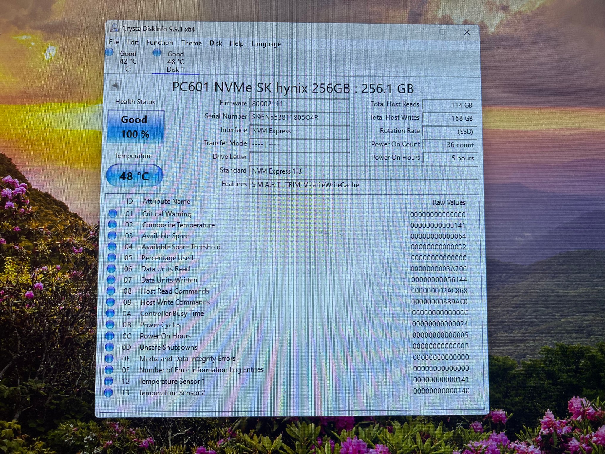 256GB PCIe Gen 3.0x4.0 M.2 NVMe SK Hynix PC601 with DRAM Cache - 100% Health