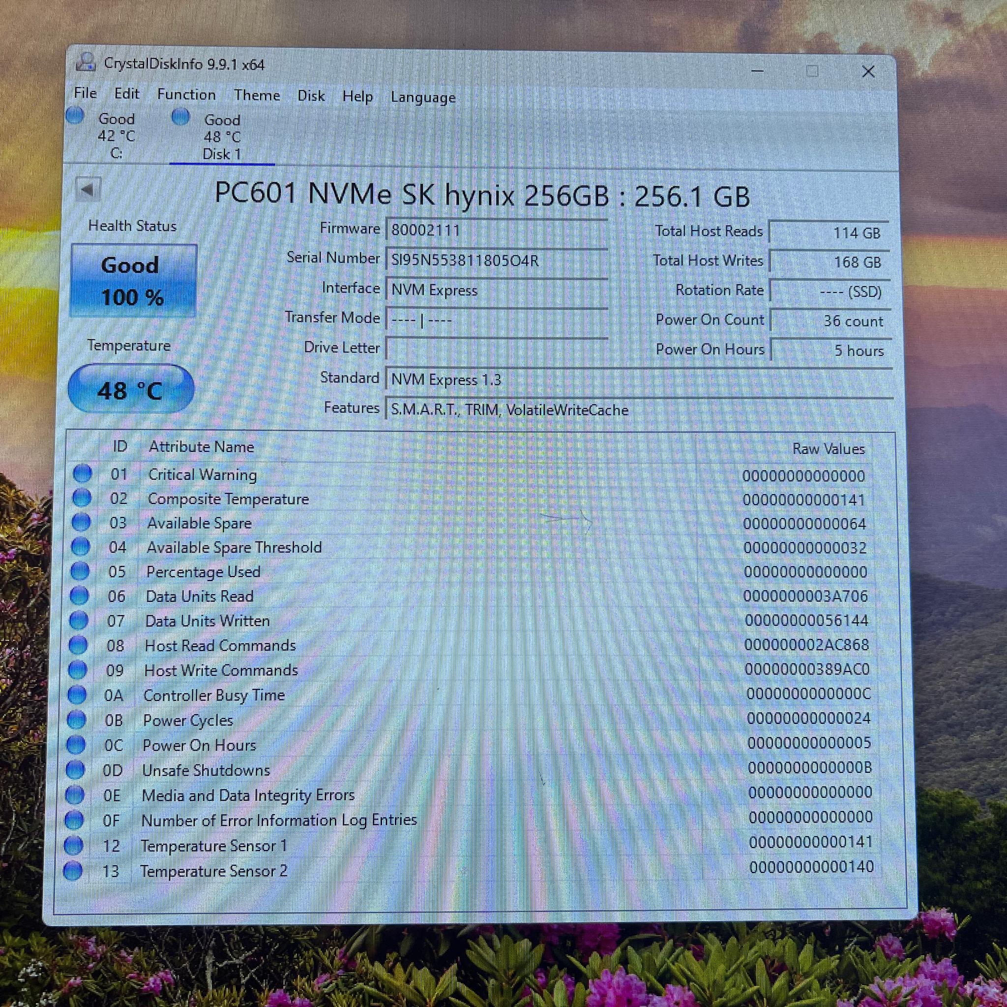 256GB PCIe Gen 3.0x4.0 M.2 NVMe SK Hynix PC601 with DRAM Cache - 100% Health
