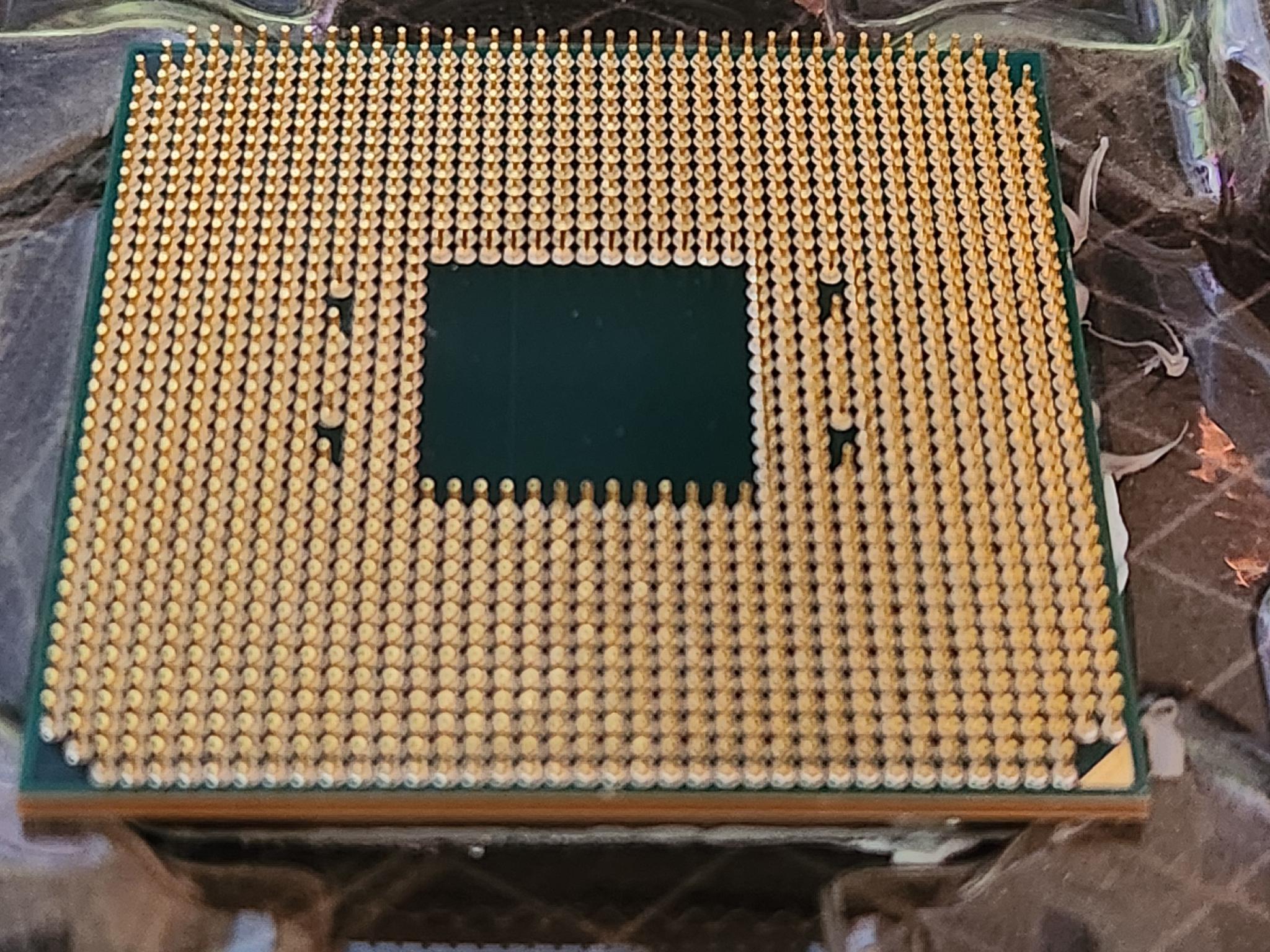AMD Ryzen 5 3600