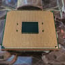 AMD Ryzen 5 3600