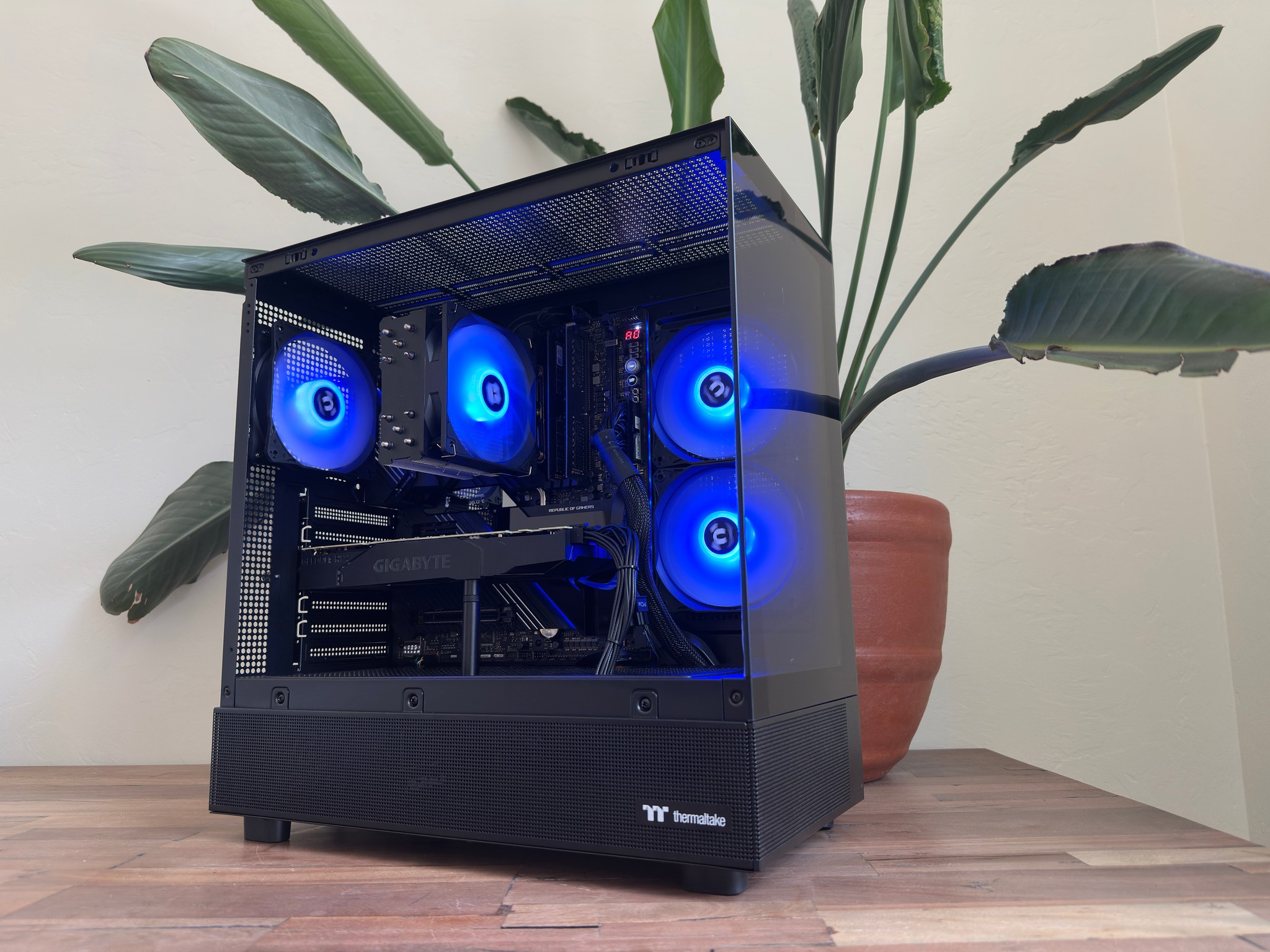 🟪 RTX 2080 Ti | i5-11600K | 2TB SSD | 64GB RAM | Windows 11 | WiFi 🟪