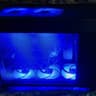 Budget AAA and Esports-R5 5500, EVGA 2060, 512GB NVMe, 16GB Dual Channel DDR4-3200,Mesh, RGB