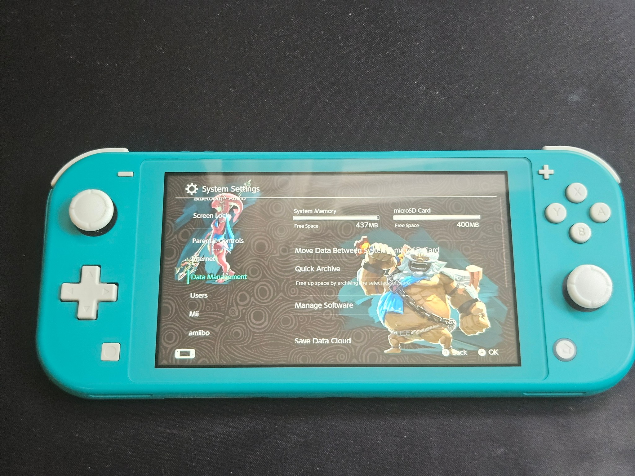 Modded Switch Lite with 256GB SD Card and Picofly