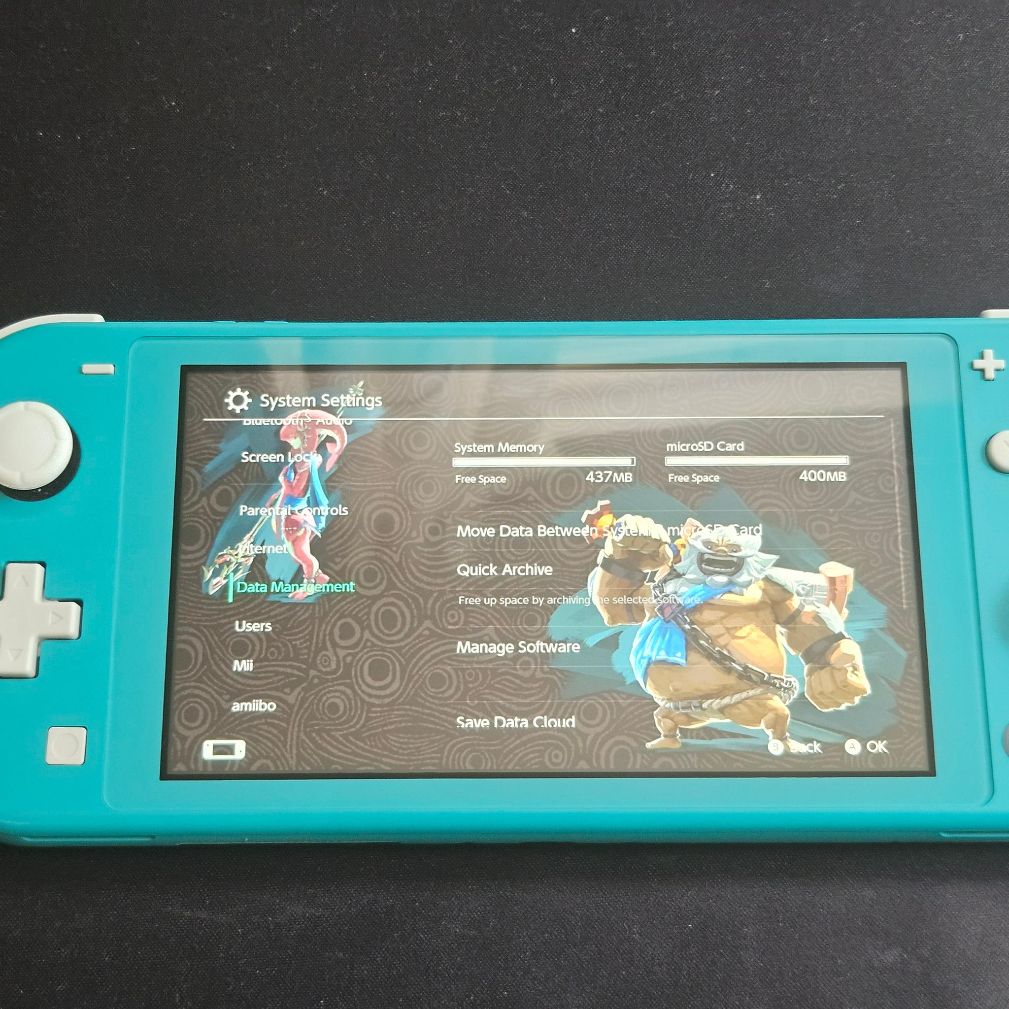 Modded Switch Lite with 256GB SD Card and Picofly