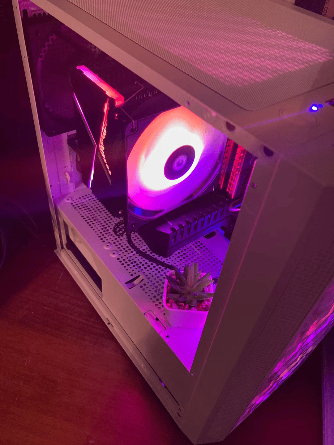 “The Wizard of Oz” Gaming PC ( I5-10400)