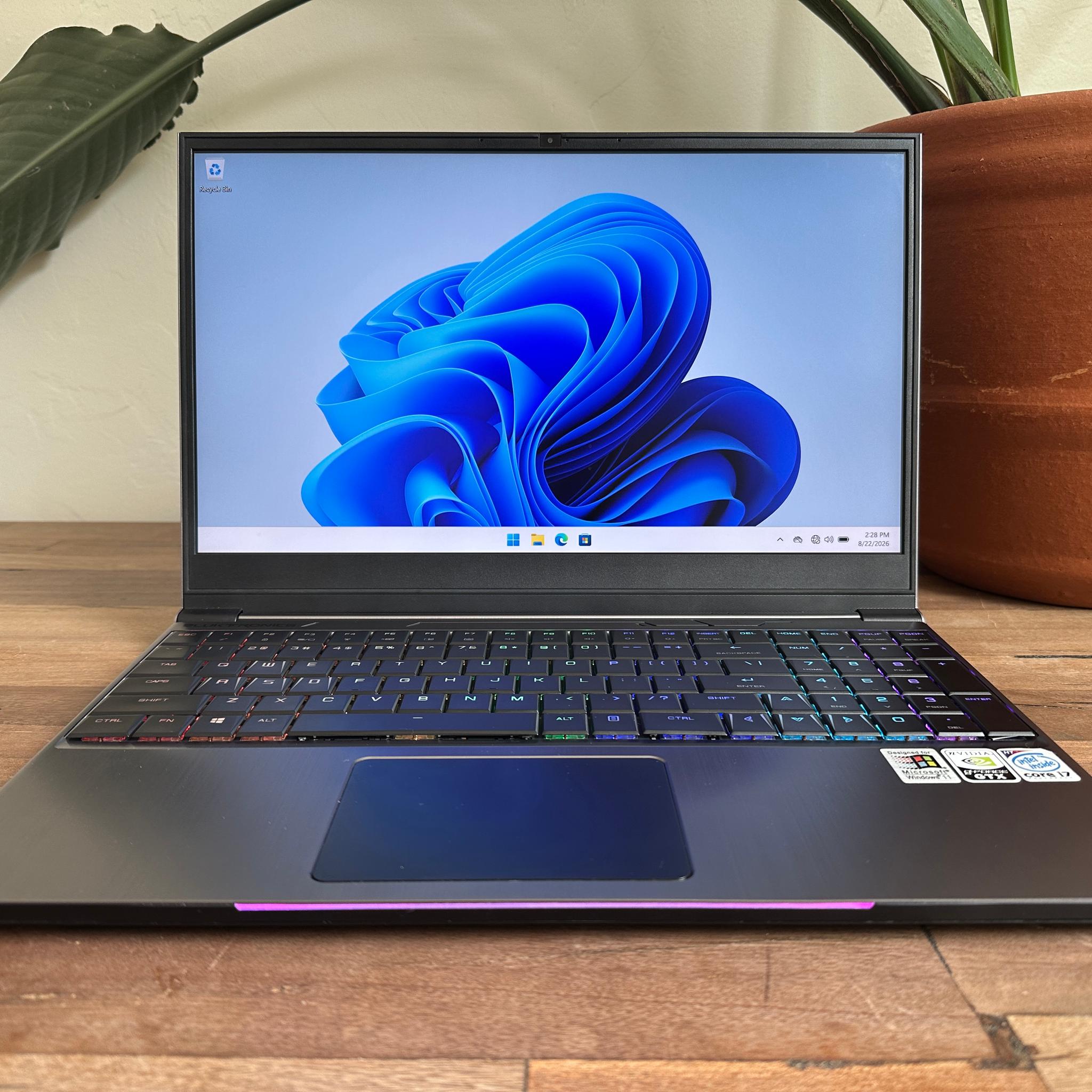 Eluktronics Mech 15 G2Rx | GTX 1660 Ti | i7-9750H | 32GB RAM | 512GB SSD + 512GB HDD