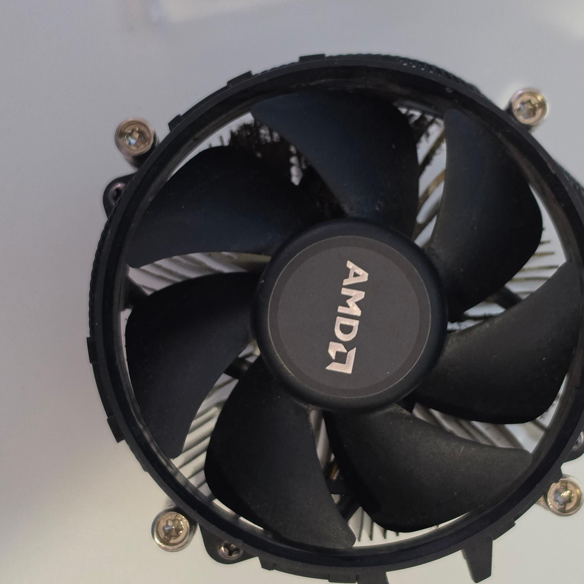 AMD Ryzen 5 5600G