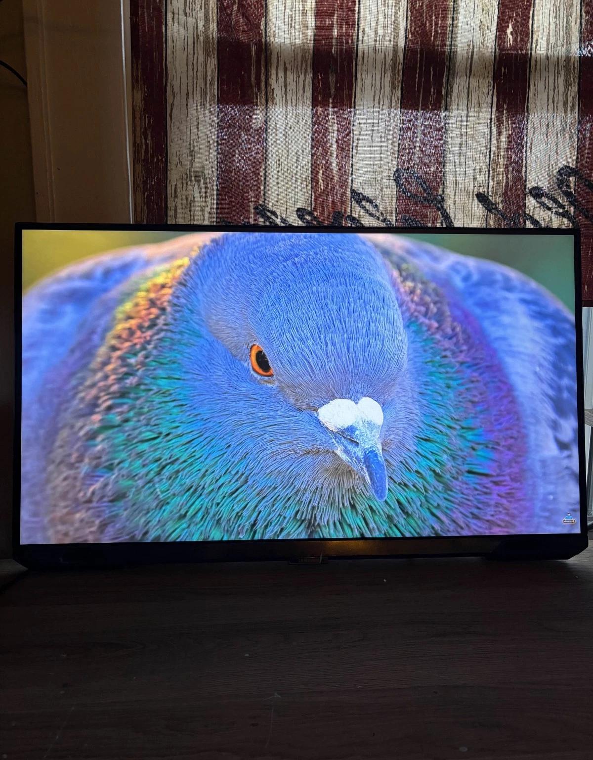 Samsung S28BG700EN 28" 4K UHD Gaming Monitor (CS)