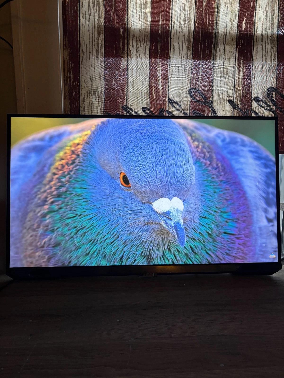 Samsung S28BG700EN 28" 4K UHD Gaming Monitor (CS)