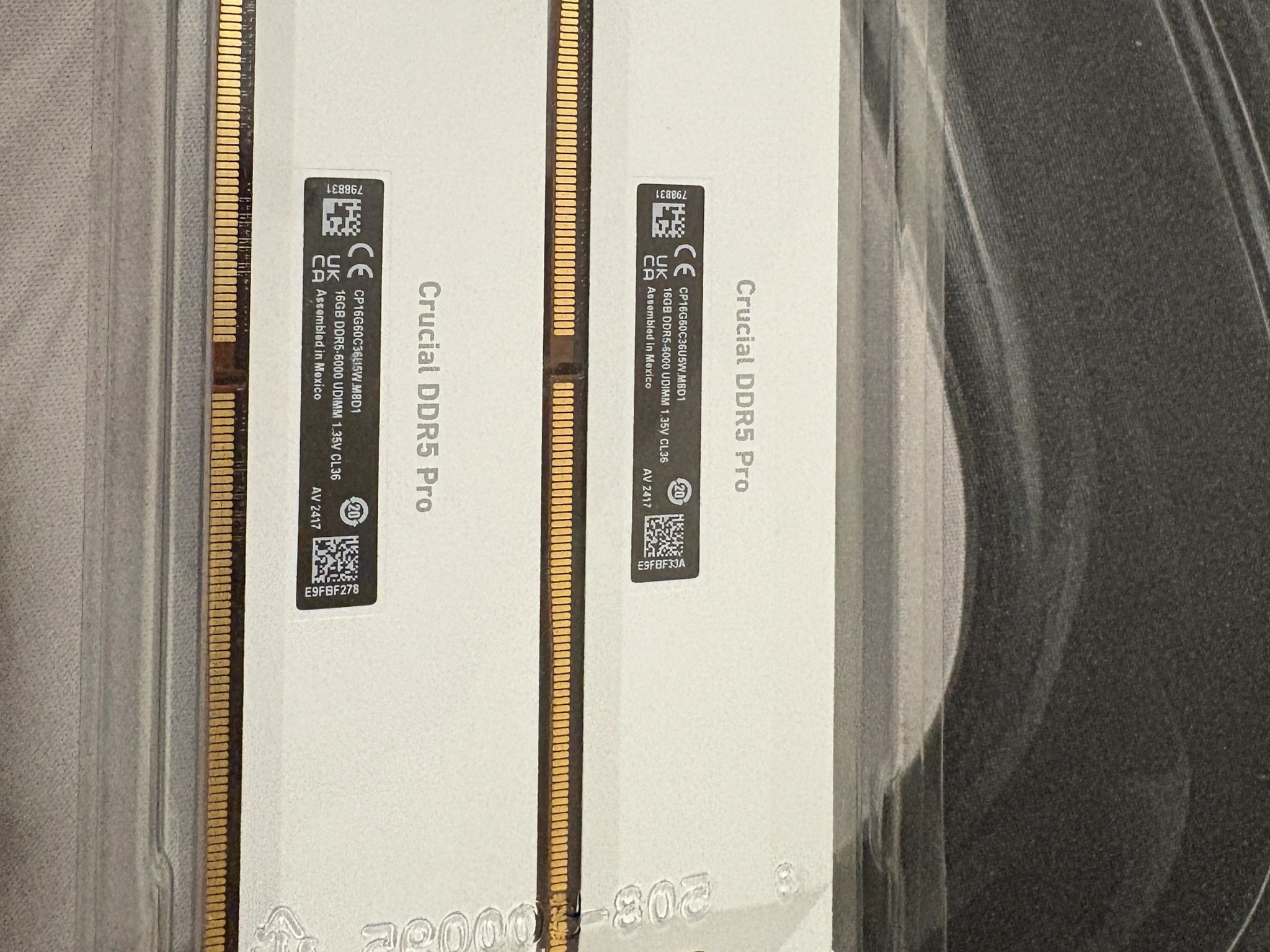 Crucial Pro - DDR5 32GB - White