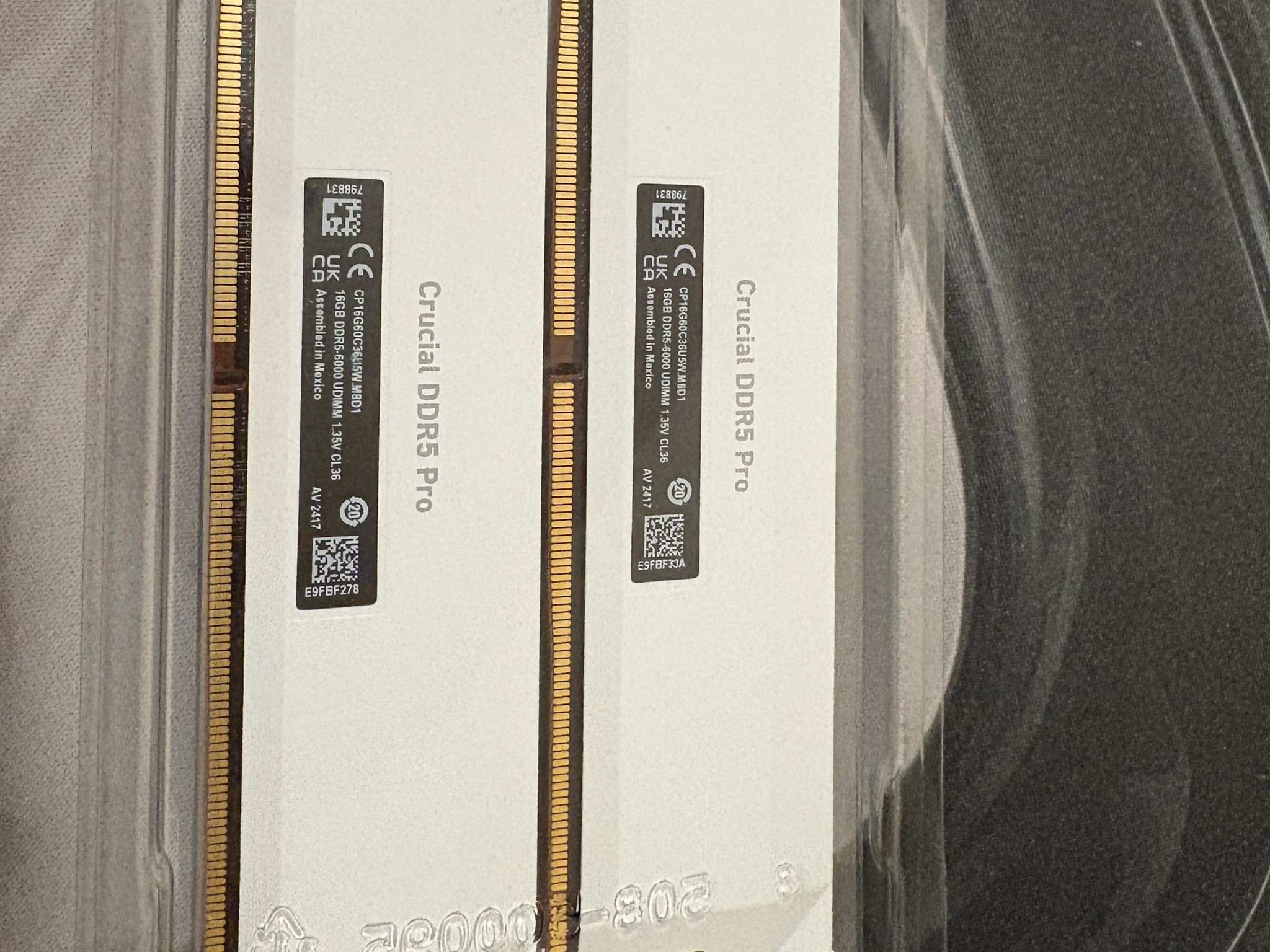 Crucial Pro - DDR5 32GB - White