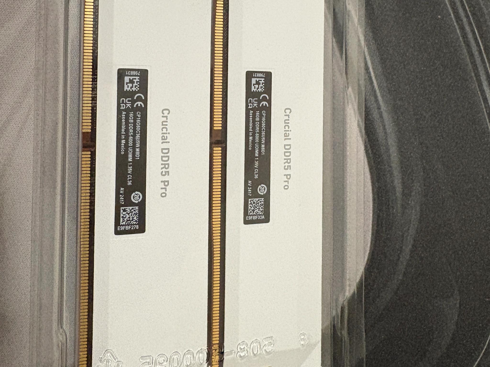 Crucial Pro - DDR5 32GB - White