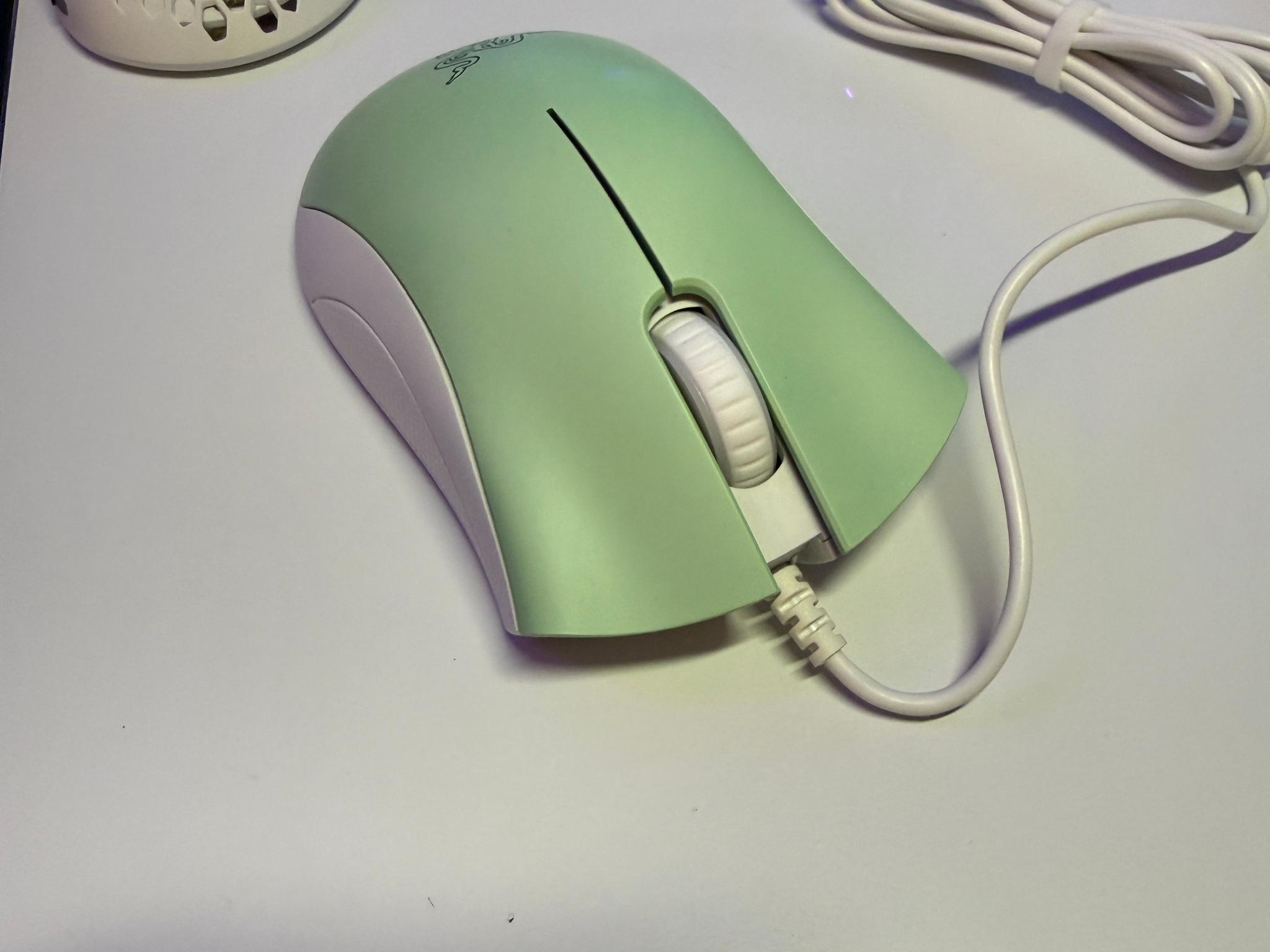 Razer DeathAdder Essential  Wired Gaming Optical Mouse, Custom White/Mint Green.