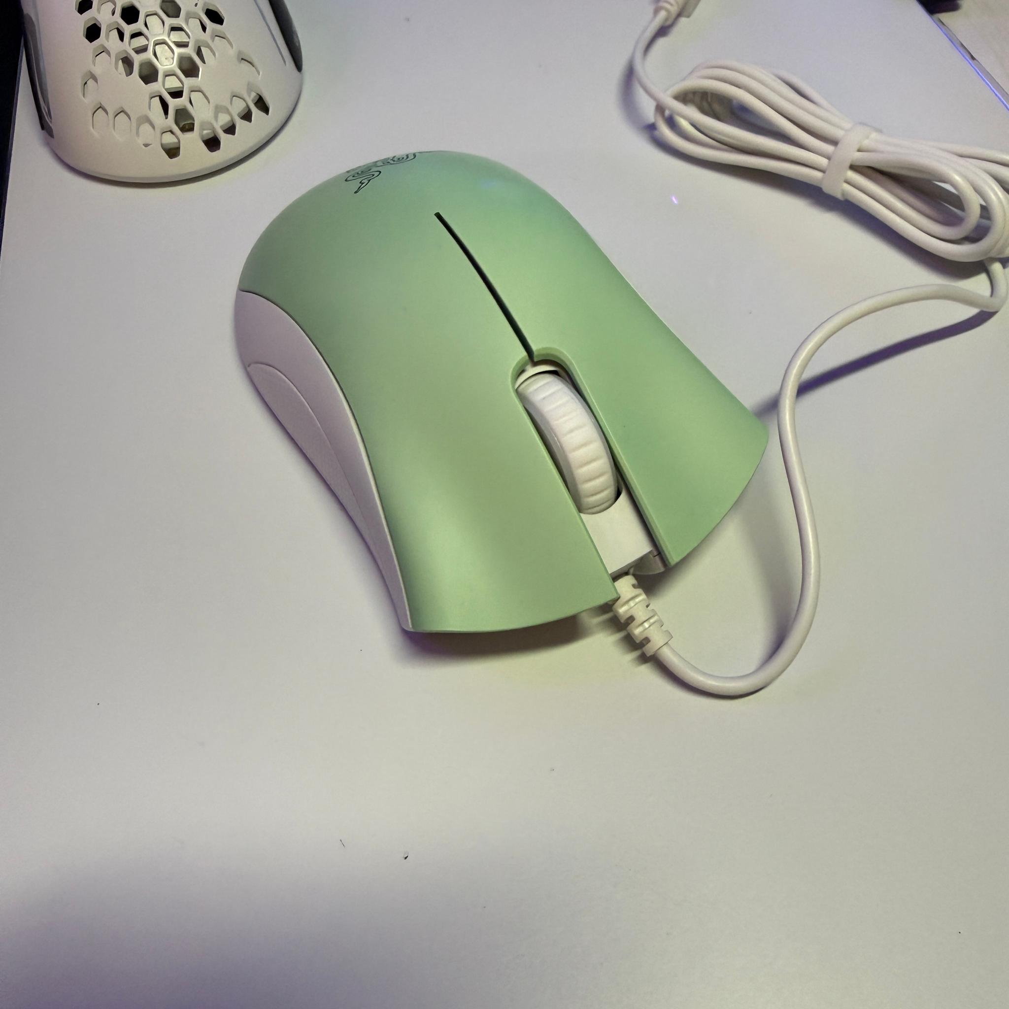 Razer DeathAdder Essential  Wired Gaming Optical Mouse, Custom White/Mint Green.