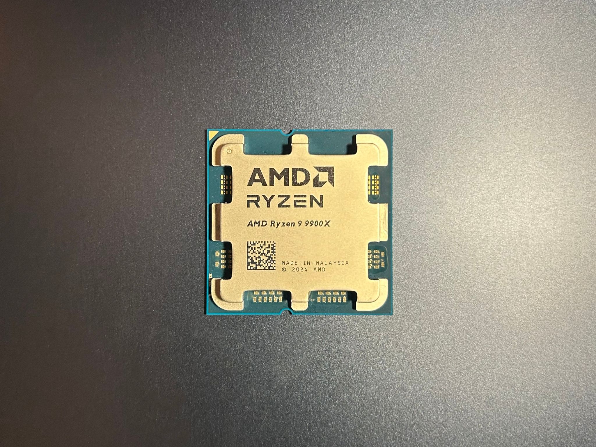 AMD Ryzen 9 9900X CPU