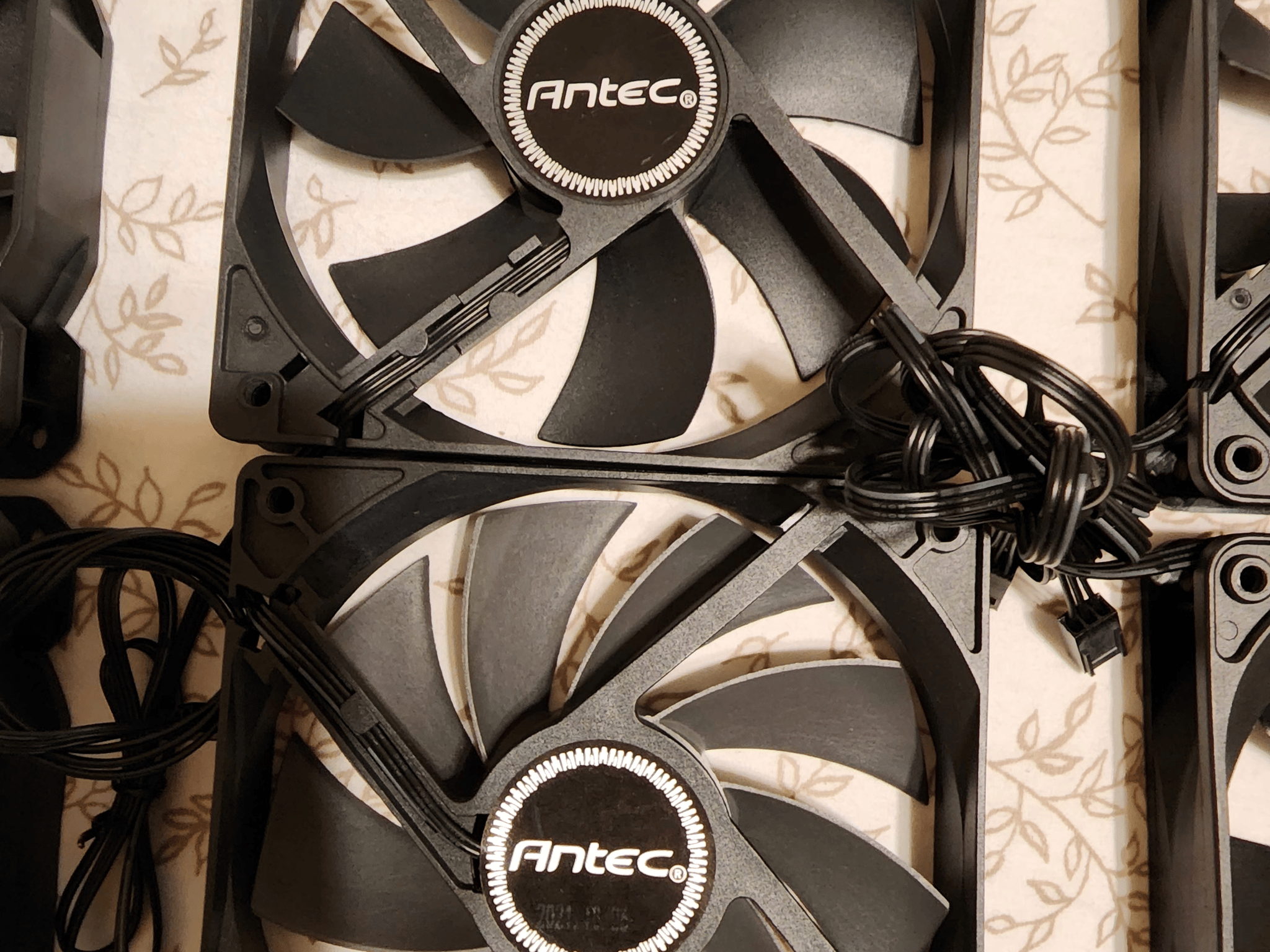 Assortment of Fans! 9 total