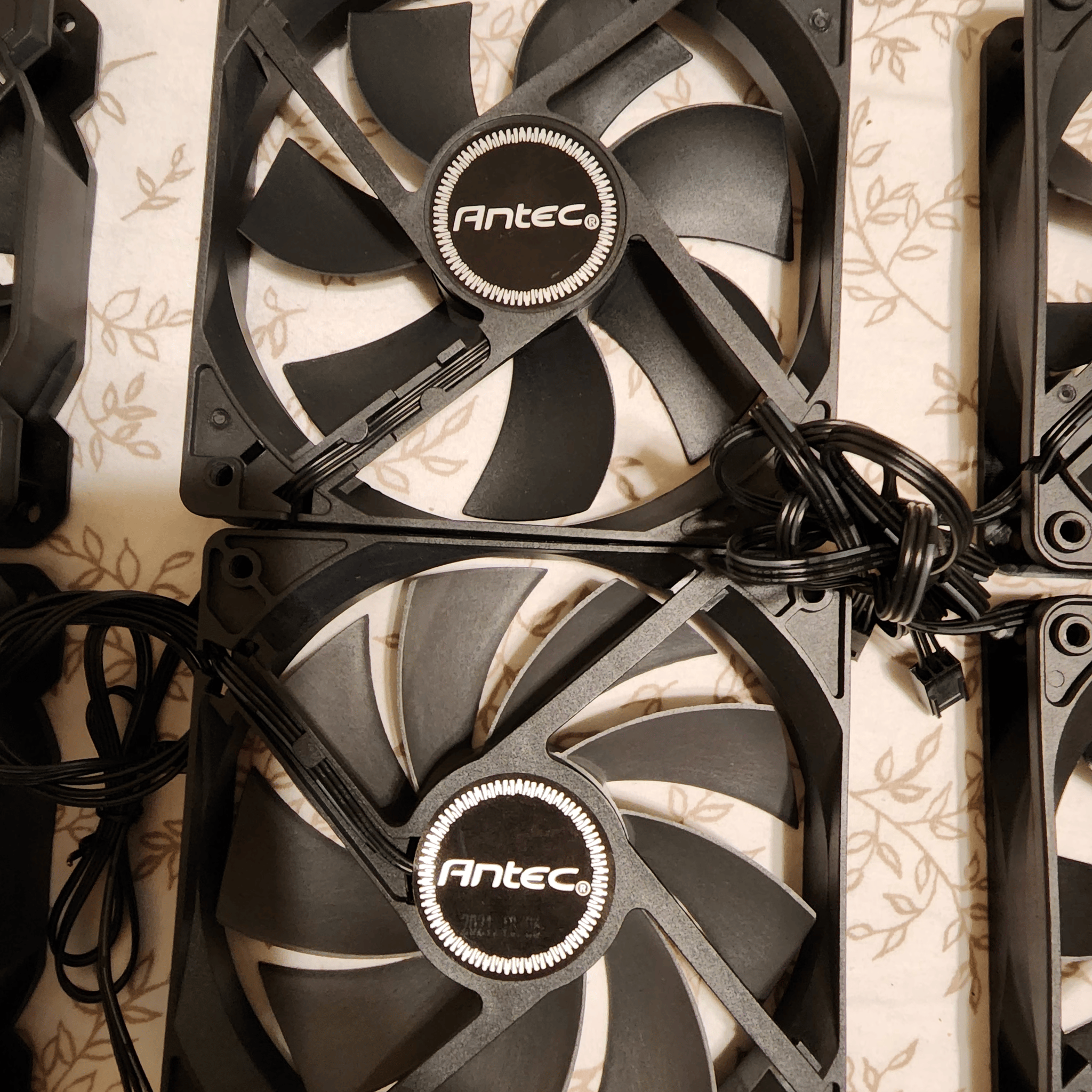 Assortment of Fans! 9 total