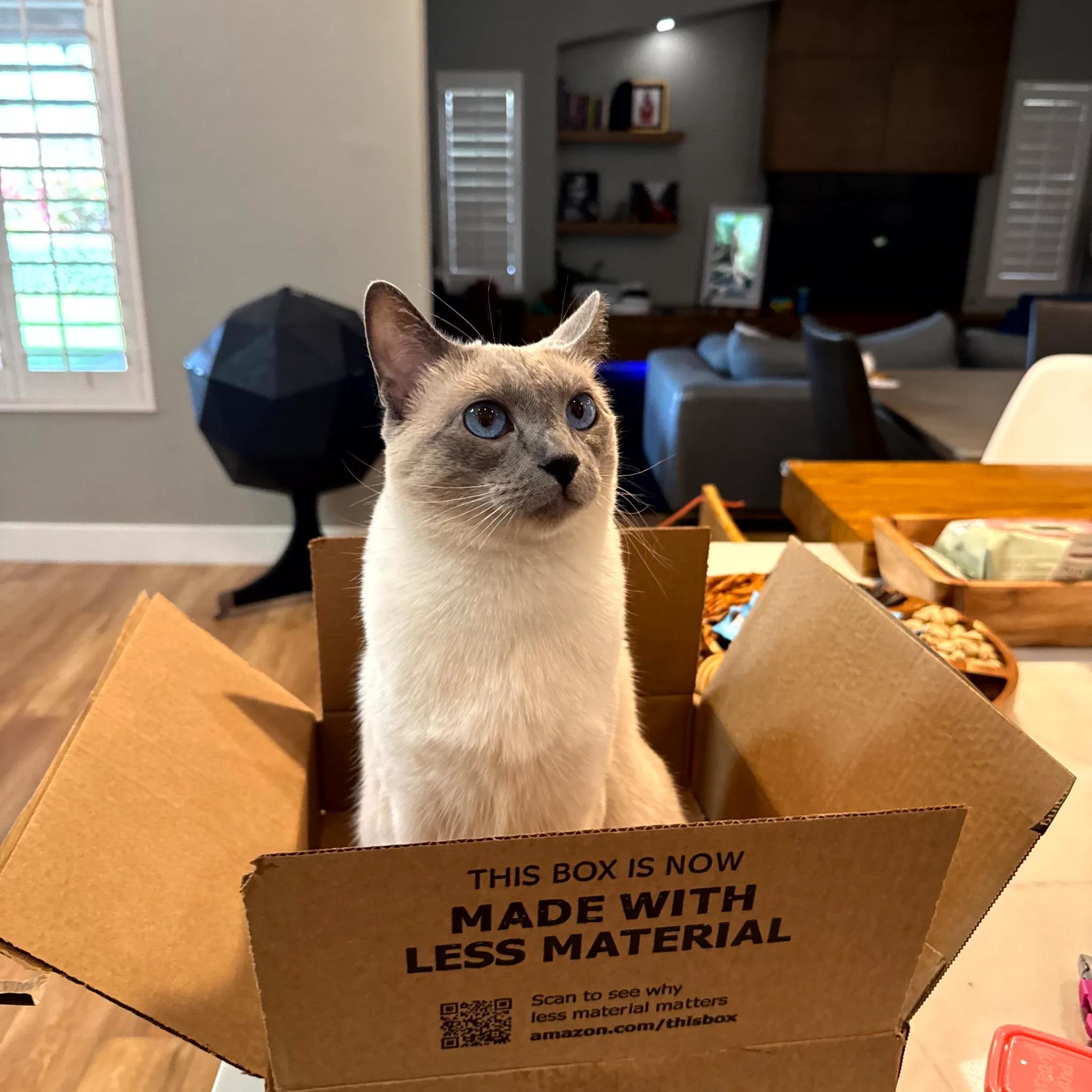 NVIDIA GeForce RTX 4090 Founders Edition - 24GB - Slightly Used